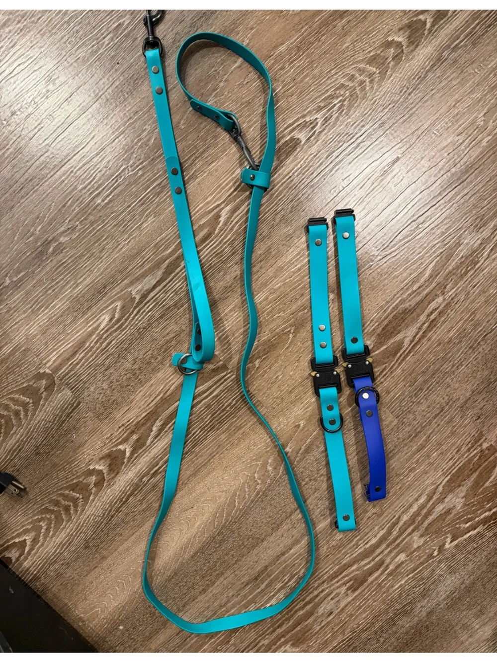 Biothane Leash & collars